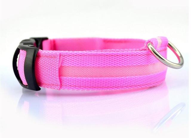 Nylon LED Pet Dog Collar - doctorlukeshop