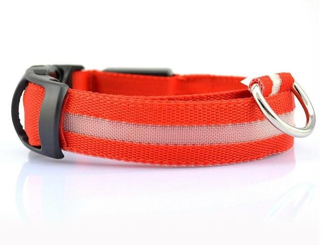 Nylon LED Pet Dog Collar - doctorlukeshop