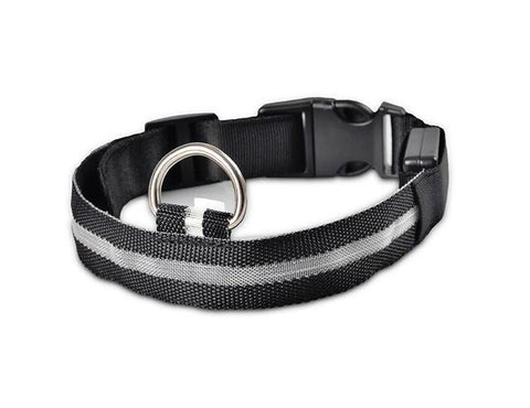 Image of Nylon LED Pet Dog Collar - doctorlukeshop