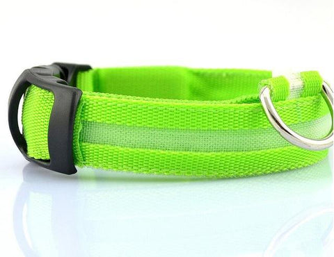 Image of Nylon LED Pet Dog Collar - doctorlukeshop