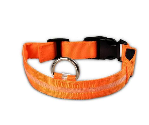 Image of Nylon LED Pet Dog Collar - doctorlukeshop