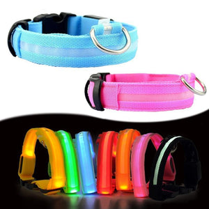 Nylon LED Pet Dog Collar - doctorlukeshop