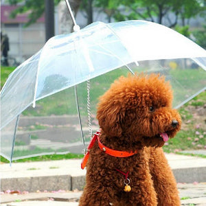 Umbrella for Dog - doctorlukeshop