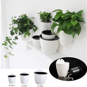 Self Watering Plant Flower Pot with Wall Hanging - doctorlukeshop